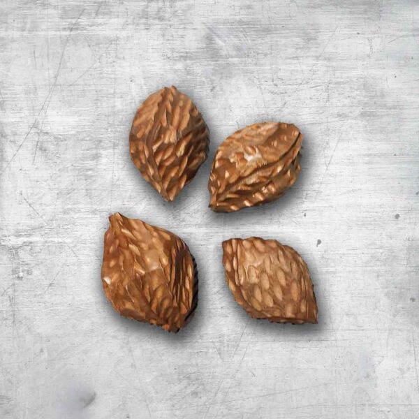 Nueces